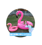 ぱぴぱぴパピヨン33（個別スタンプ：3）