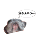 杏ちゃんのすたんぷっぷ（個別スタンプ：4）