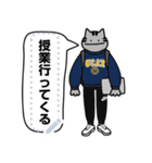 ねこルックブック（個別スタンプ：12）