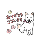 しば犬ララのHAPPY DAYS♡（個別スタンプ：12）