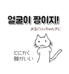 推ししか勝たん 韓国語 オタク向け 白猫（個別スタンプ：5）