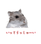 ハムスター（ブルーサファイア）（個別スタンプ：7）