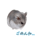 ハムスター（ブルーサファイア）（個別スタンプ：15）