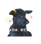 犬のムーヴちゃん（個別スタンプ：8）