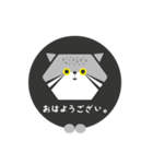 六角猫のスタンプ（個別スタンプ：1）