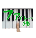 毒舌ピアニスト【実写】（個別スタンプ：14）