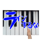 毒舌ピアニスト【実写】（個別スタンプ：24）