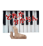 毒舌ピアニスト【実写】（個別スタンプ：30）