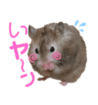 ハムスターのヤンヤン2♪（個別スタンプ：3）