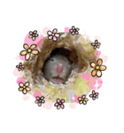 ハムスターのヤンヤン2♪（個別スタンプ：11）
