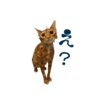 カブ天スタンプ1（個別スタンプ：17）