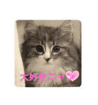 リリアちゃん①（個別スタンプ：1）