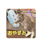 リリアちゃん①（個別スタンプ：3）