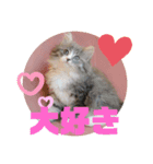 リリアちゃん①（個別スタンプ：7）