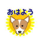 コーギー好きなあなたへ 夏 暑中見舞い等（個別スタンプ：2）