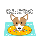 コーギー好きなあなたへ 夏 暑中見舞い等（個別スタンプ：3）