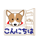 コーギー好きなあなたへ 夏 暑中見舞い等（個別スタンプ：4）