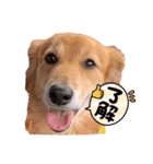 銀次っス（個別スタンプ：5）