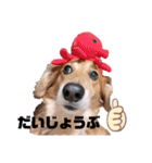 銀次っス（個別スタンプ：8）