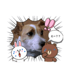 ロビンとルカ（個別スタンプ：7）