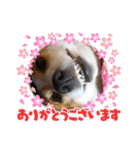 ロビンとルカ（個別スタンプ：8）
