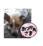 ロビンとルカ（個別スタンプ：9）