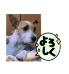 ロビンとルカ（個別スタンプ：11）