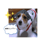 ロビンとルカ（個別スタンプ：14）