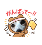 ロビンとルカ（個別スタンプ：18）