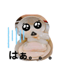 食べ物で作るスタンプ（個別スタンプ：20）