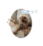 しょこらPart④（個別スタンプ：5）