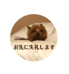 しょこらPart④（個別スタンプ：6）