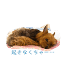 しょこらPart④（個別スタンプ：23）