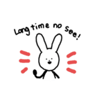 English rabbit daily（個別スタンプ：17）