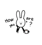 English rabbit daily（個別スタンプ：19）