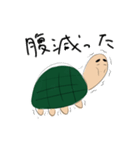 カメ汰のときどき使うスタンプ（個別スタンプ：9）
