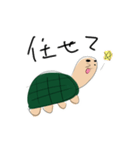 カメ汰のときどき使うスタンプ（個別スタンプ：24）