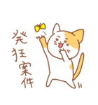 ゆるめなねことうさぎのねこ（個別スタンプ：13）