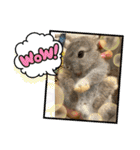 うさぎのコナンくん、ウメちゃん（個別スタンプ：7）