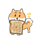 柴犬こまつのかわいいスタンプ（個別スタンプ：8）