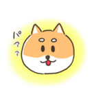 柴犬こまつのかわいいスタンプ（個別スタンプ：11）