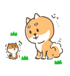 柴犬こまつのかわいいスタンプ（個別スタンプ：12）