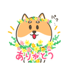 柴犬こまつのかわいいスタンプ（個別スタンプ：29）