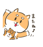 柴犬こまつのかわいいスタンプ（個別スタンプ：36）