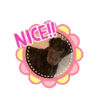 ディノザウルス（個別スタンプ：16）