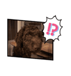 ディノザウルス（個別スタンプ：19）