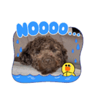 ディノザウルス（個別スタンプ：22）