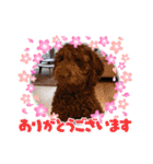 ディノザウルス（個別スタンプ：32）