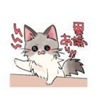 長毛ねこちゃんたち（個別スタンプ：23）