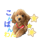 赤ちゃんめいちゃん（個別スタンプ：3）